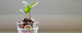 Ein kleines Glas mit Kleingeld und einer Jungpflanze 